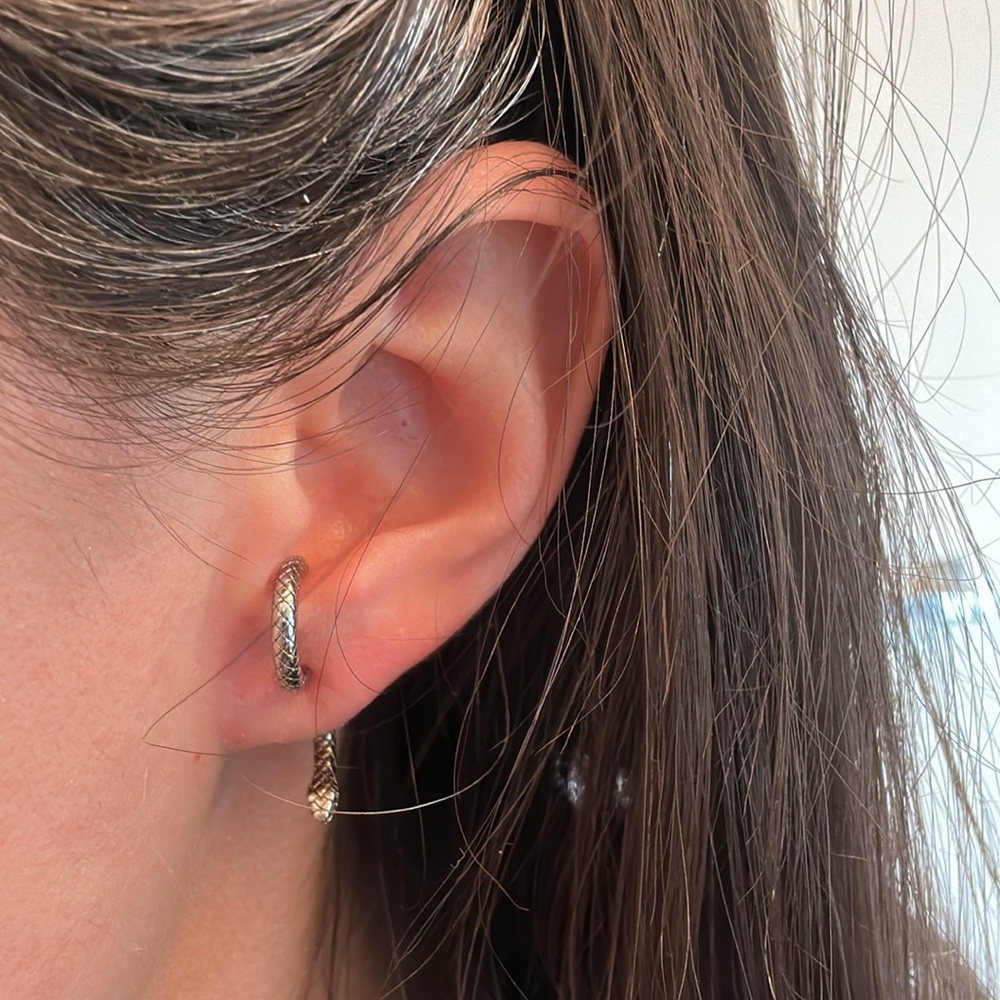 One pair of  Snake Earrings